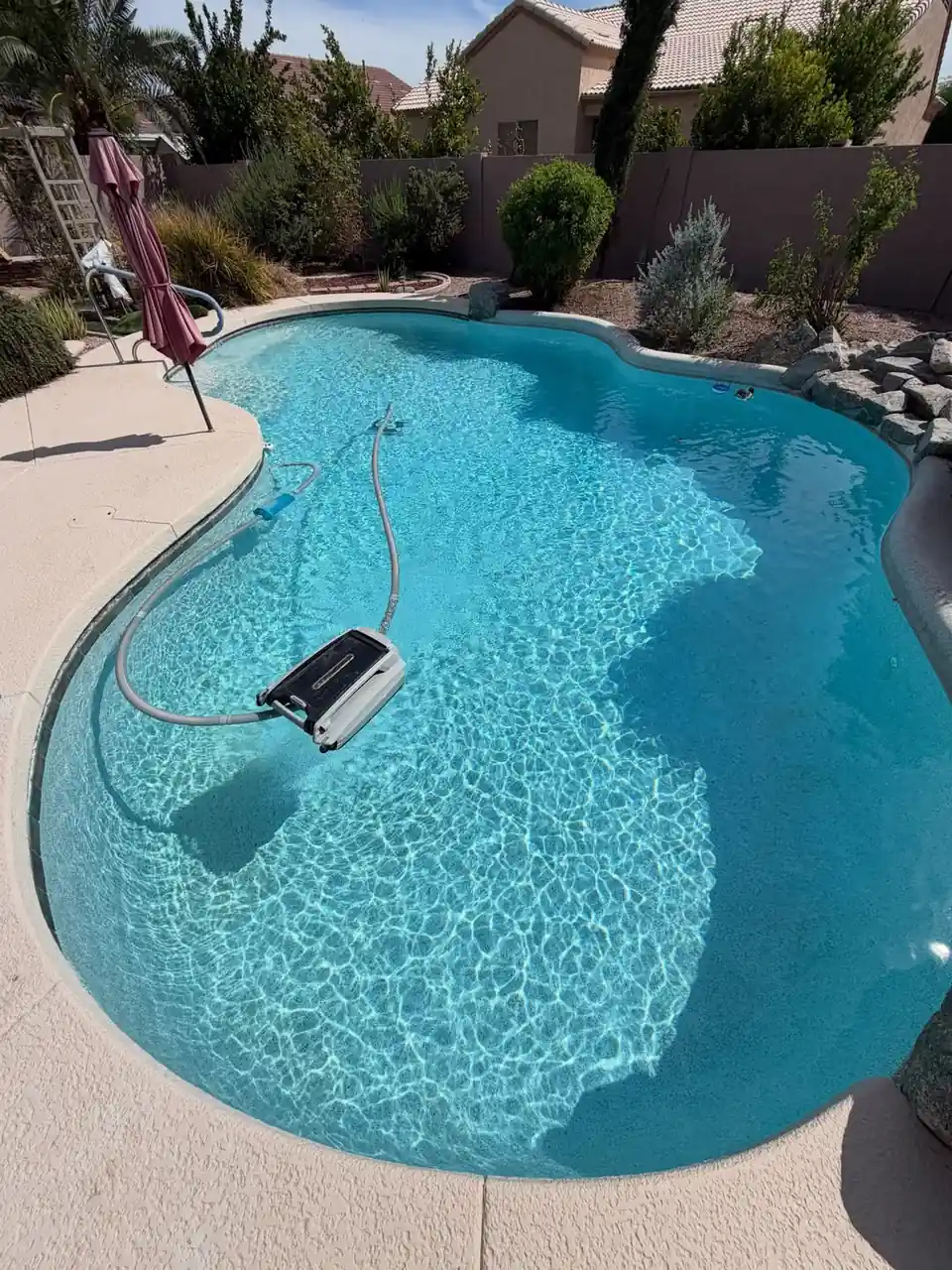 The same freeform pool with clear blue water after cleanup