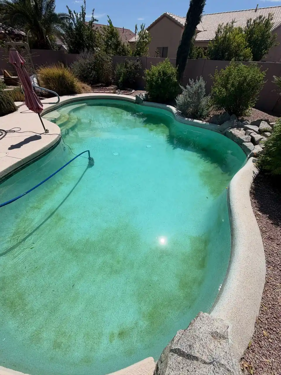 A freeform pool with cloudy green water before cleanup