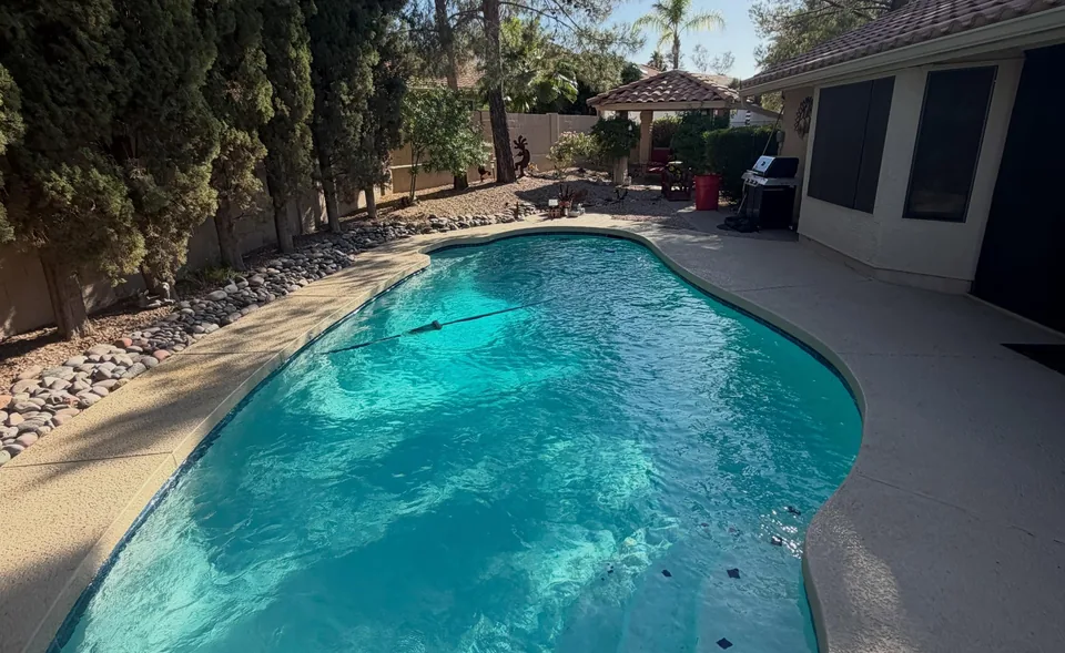 A kidney-shaped pool with clear water in a sunny backyard
