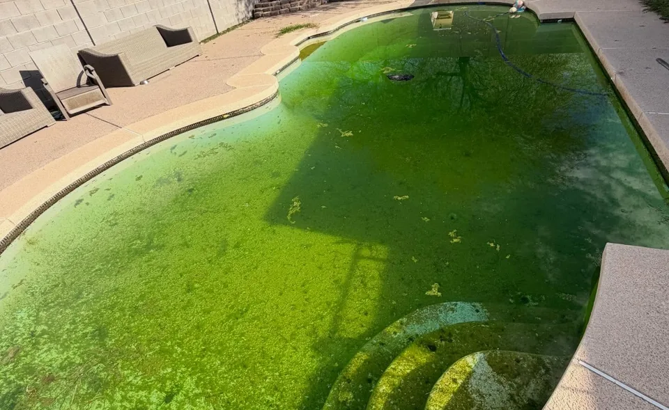 A backyard pool with bright green water before a cleanup