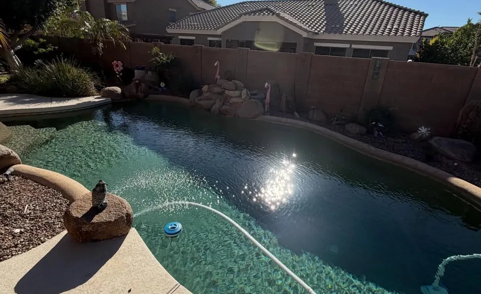 A backyard pool in bright sun with houses and palm trees behind it
