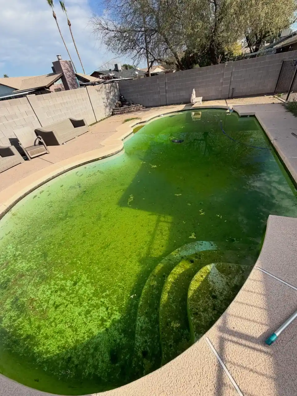 A backyard pool with bright green water before a cleanup