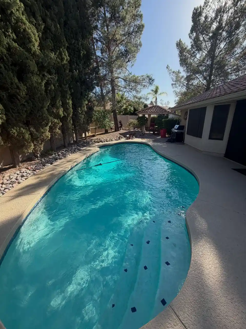 A kidney-shaped pool with clear water in a sunny backyard