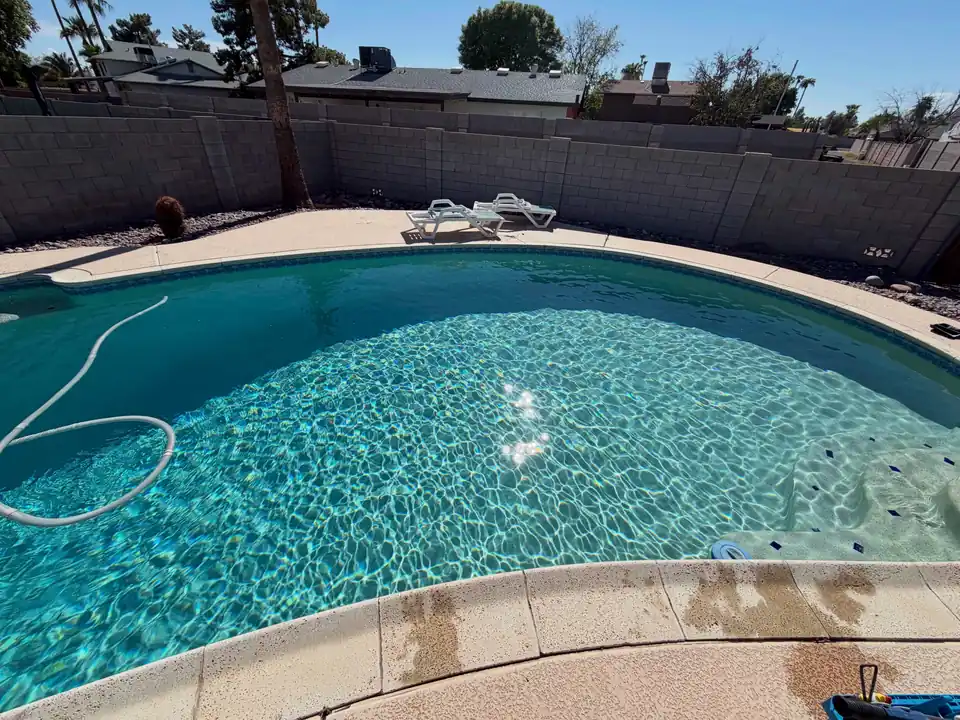 A backyard pool with clear, sparkling water and a cleaning hose along the floor